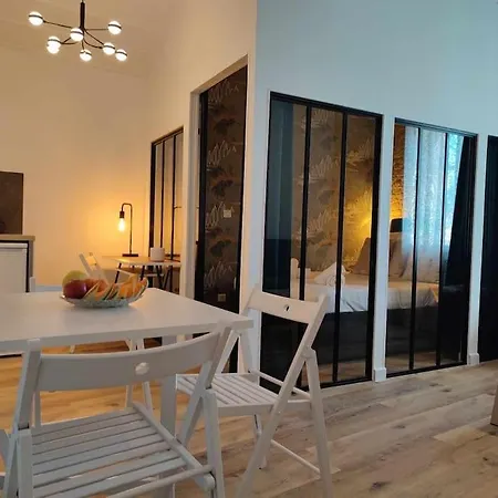 Apartamento La Demeure Du Chevalier D'argent- Parking Gratuit Carcassonne